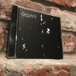 Dzlvarv - Dzlvarv CD