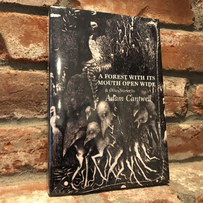 A Forest With It's Mouth Open Wide by Adam Cantwell